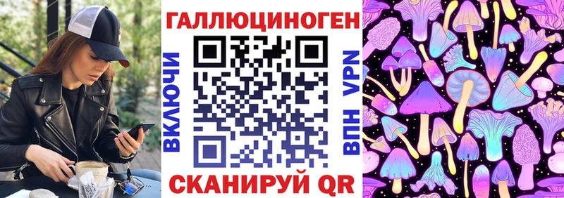 Псилоцибиновые грибы Psilocybe Белозерск
