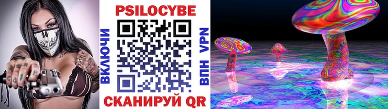 ОМГ ОМГ   Белозерск  Псилоцибиновые грибы Psilocybe 